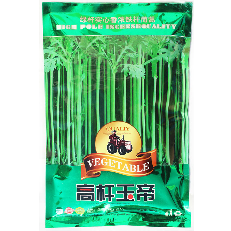 种子高产盆栽菊花春季皇帝菜