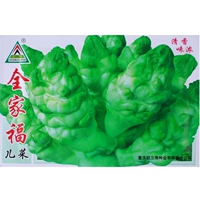 Семейные фотографии/5G X1 Сумка