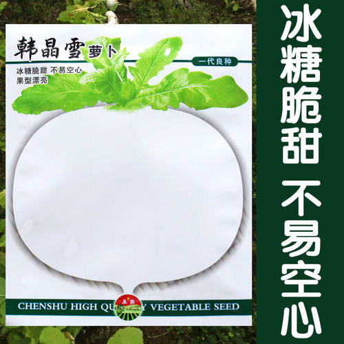 蔬菜四川春不老圆球形播种萝卜