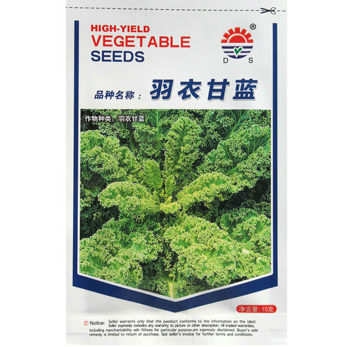 羽衣甘蓝种籽冬宝蔬菜种子荷兰羽衣甘兰抗病耐寒高端羽衣甘蓝种子 - 封面