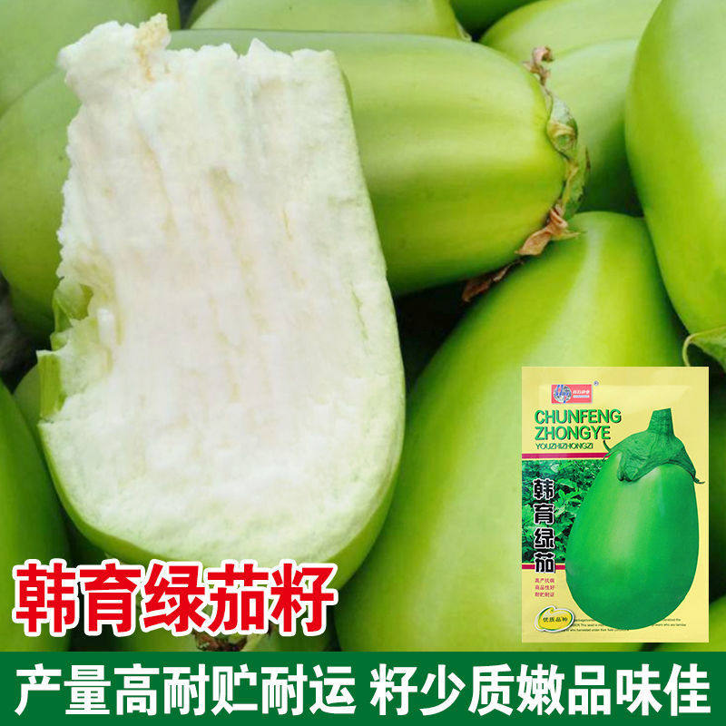 韩育绿茄子种子 西安绿茄种子绿皮茄子 绿茄灌籽少春夏季播蔬菜籽,鲜花速递/花卉仿真/绿植园艺,家庭园艺种子,淘宝优惠券,粉丝福利购,淘宝优惠卷
