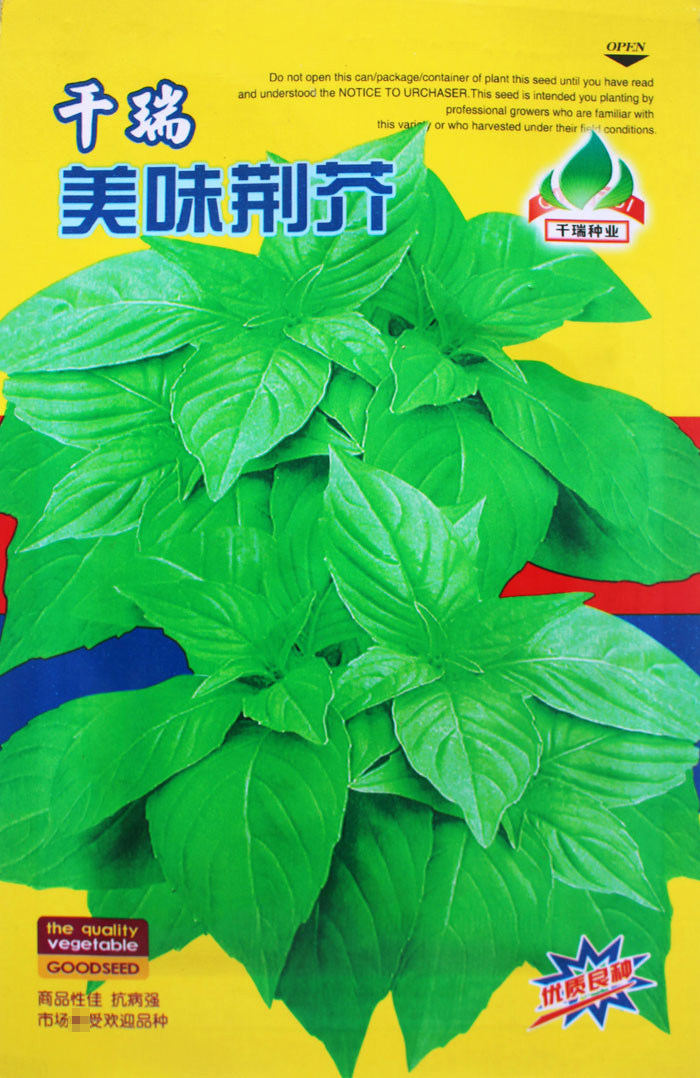 美味荆芥种子 阳台盆栽食用蔬菜种子 速生大叶荆芥籽 耐热四季播