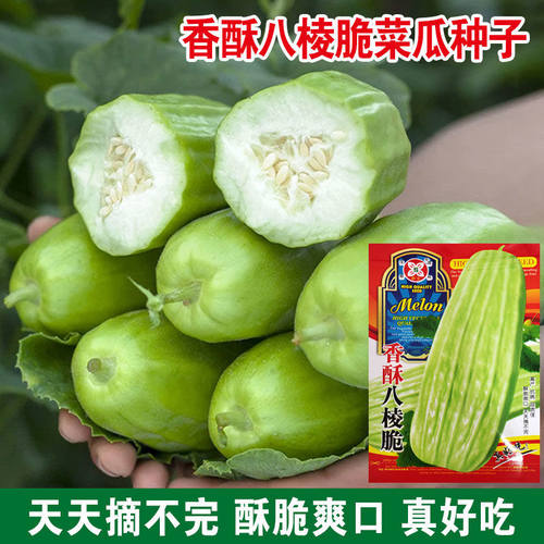 香酥超大生吃香酥超大生吃四季