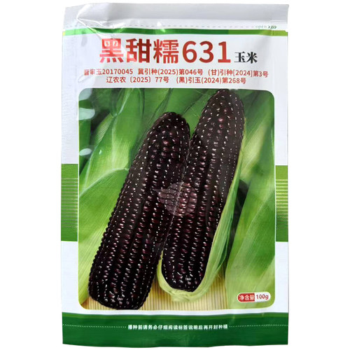 黑甜糯631黑糯玉米种子紫水果玉米种籽四季春夏菜种孑甜加糯玉米