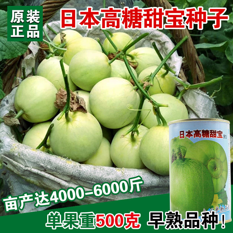 冰糖甜宝日本特甜老品种甜瓜种子老香瓜特甜春季种蔬菜种子秋季