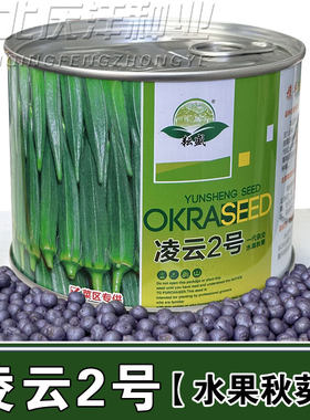 凌云2号秋葵种子高端水果