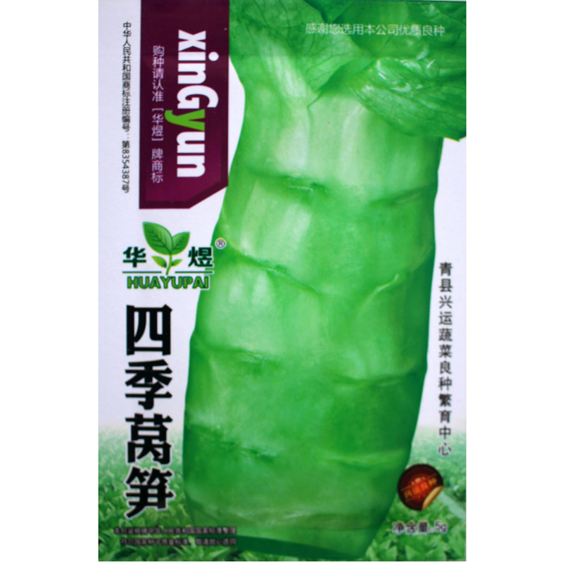 莴笋种籽红皮莴笋莴苣种子四季播尖叶青绿皮农莴笋盆栽蔬菜种子孑