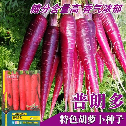 有机蔬菜品种价格 有机蔬菜品种图片 星期三