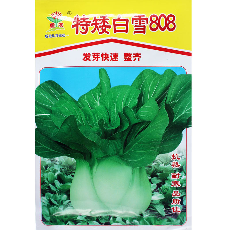 特矮白雪808油菜种子 抗热耐寒黑叶矮脚苏州青蔬菜种籽 农家菜园