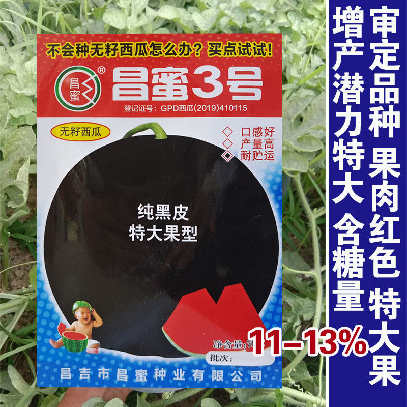 黑皮无籽西瓜种子超甜薄皮西瓜红瓤高产庭院水果种孑春夏四季蔬菜