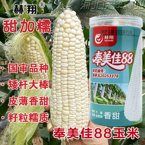 赫翔奉美佳88白甜糯玉米种子