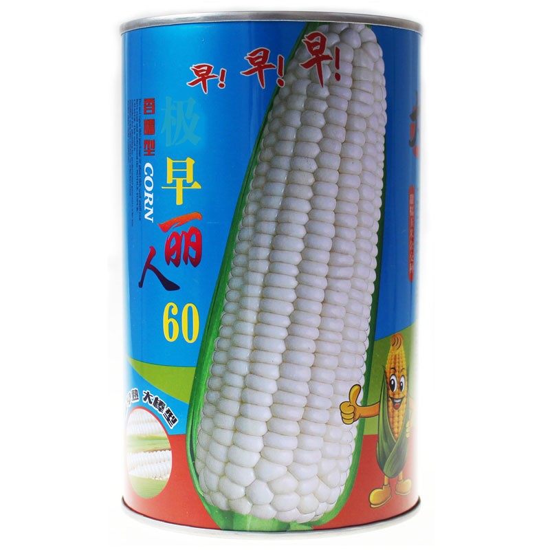早丽人60天白糯玉米种子早熟白甜糯玉米水果玉米苞米籽春夏播矮杆