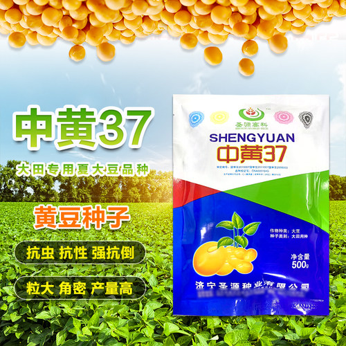 黄豆种子中黄37千斤豆