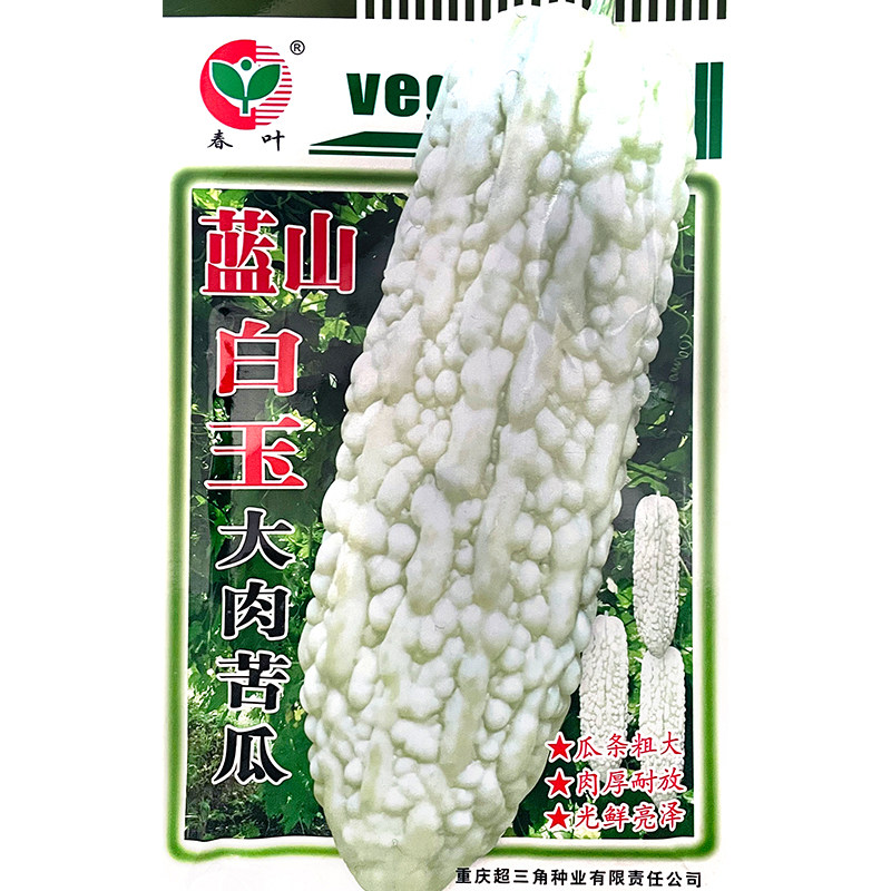 蓝山白玉大肉苦瓜长白苦瓜种子四季播种白色苦瓜大田庭院蔬菜种籽
