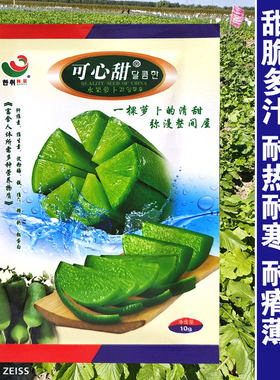 天津沙窝水果萝卜种子种籽子可心甜脆型萝卜籽种青四季蔬菜种孑