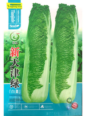 新天津绿白菜种子青麻叶大白菜种籽高筒老白菜籽秋季高产蔬菜种孑