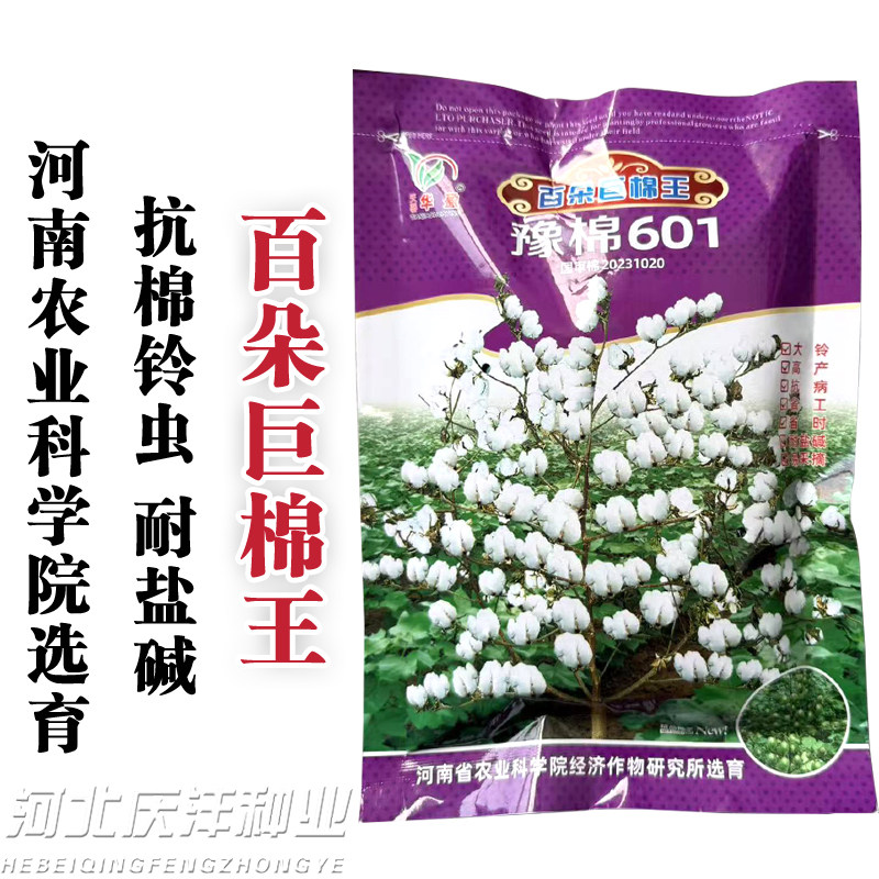 豫棉601百朵巨棉王棉花种子抗虫耐盐碱优质棉花种籽子