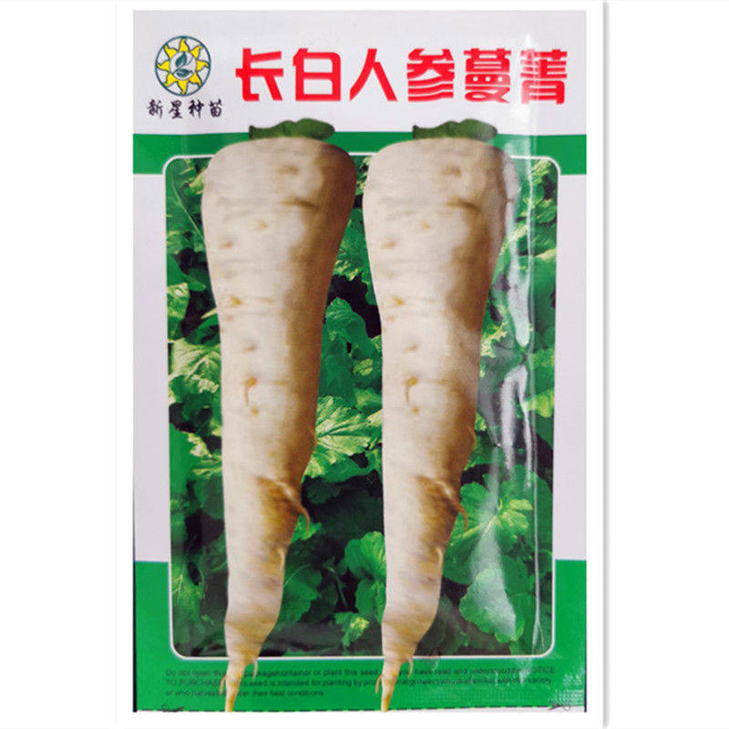 长白人参蔓菁种子菁芜菁甜面特色菜籽诸葛菜头夏秋季盆栽蔬菜种孑