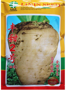 白色根甜菜种子甜菜头饲料含糖