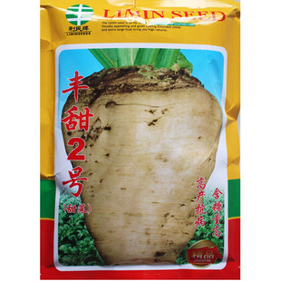 白色根甜菜种子甜菜头种子丰甜二号饲料甜菜籽 含糖量高 春夏季播