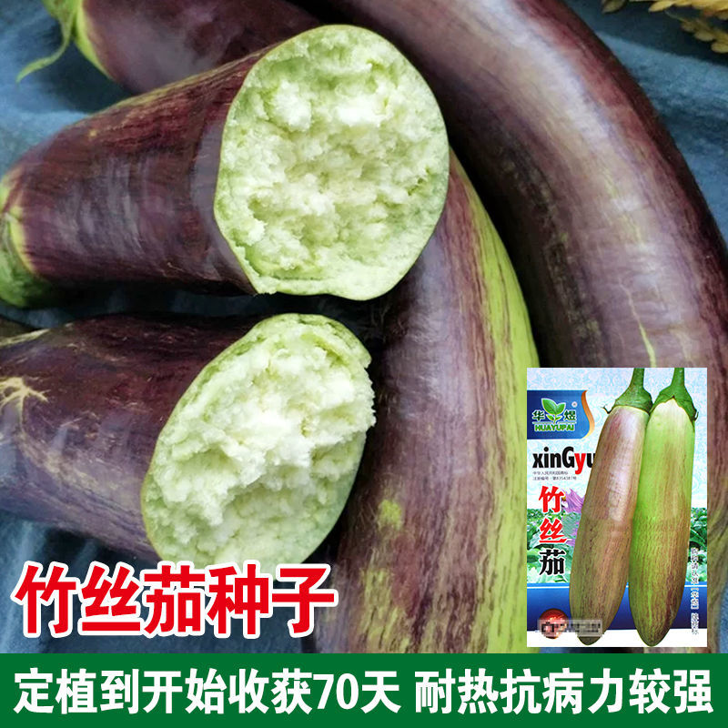 蔬菜早熟高产春季庭院种子