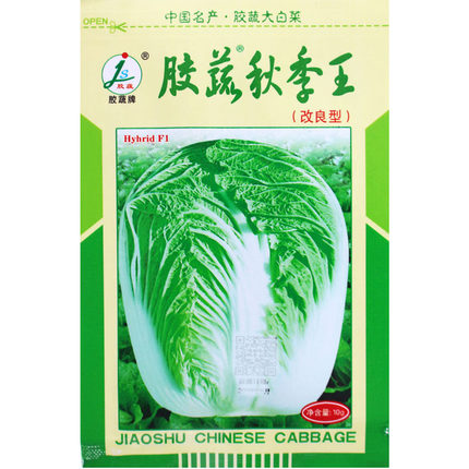 胶蔬秋季王山东农业大白菜种子胶州水果秋冬储耐寒北方秋季黄心籽