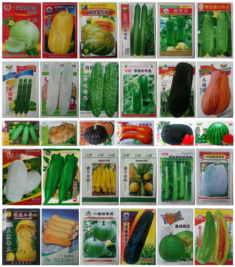30种易种瓜果类种子春夏播种 高产瓜类种子 冬瓜 苦瓜 南瓜种子