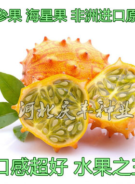 火参果种子海参非洲蜜瓜角瓜