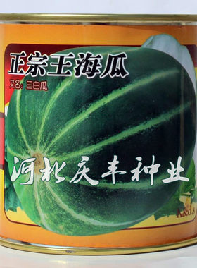 蔬菜甜瓜白沙蜜水果种子