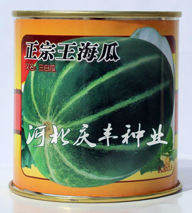 正宗王海瓜 甜瓜种子 花皮甜瓜 三白瓜 蔬菜水果种子 白沙蜜超甜