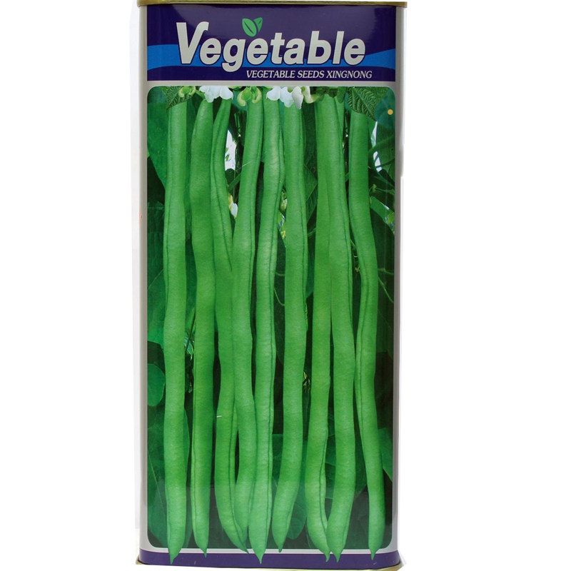 春秋航天二号无丝豆种子无筋架豆王豆角种子特长芸豆种子菜豆豇豆