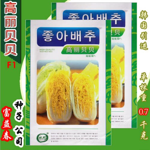 韩国进口高丽强势40天娃娃菜种子