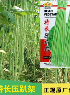 高产长豆角种子江豆 爬藤白绿条豇豆种子肉厚豆角籽农家蔬菜种子