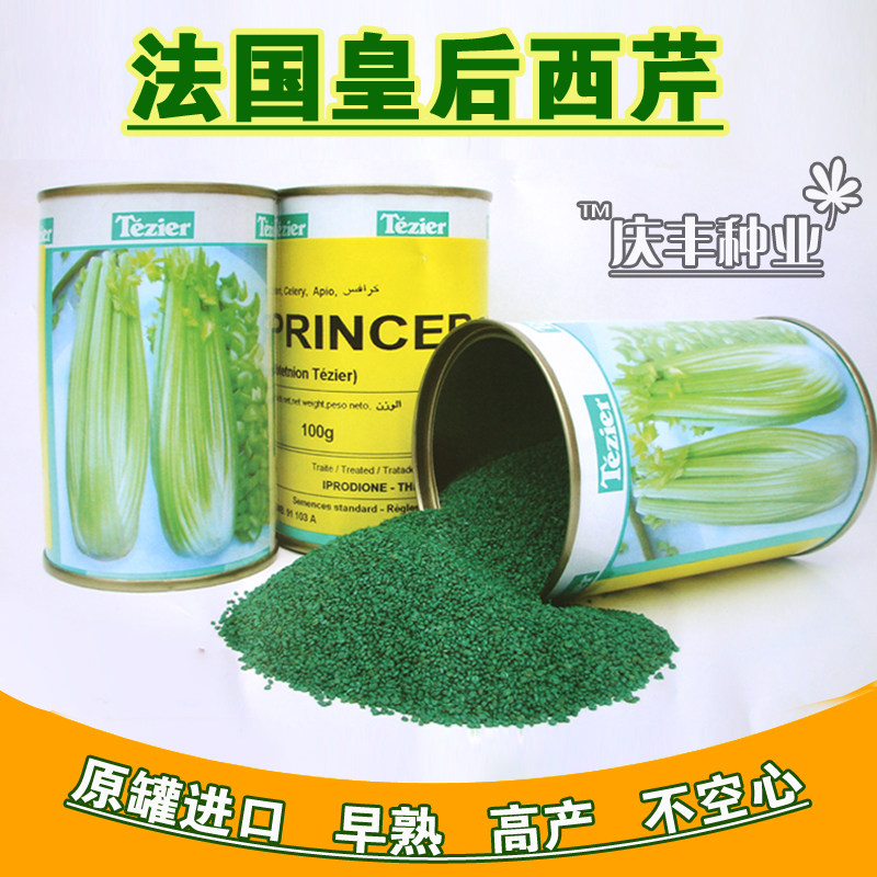皇后 芹菜种子法国clsue公司原装进口西芹种子 100g原装铁桶 r