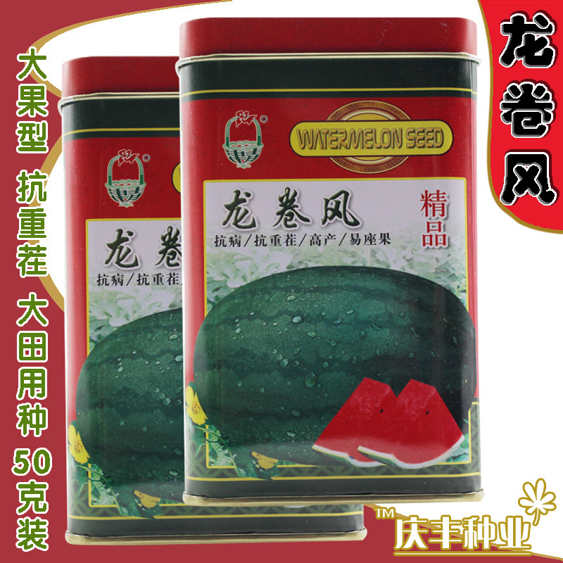 津北精品龙卷风西瓜种子 特大巨型高产甜早熟水果春夏播易座果
