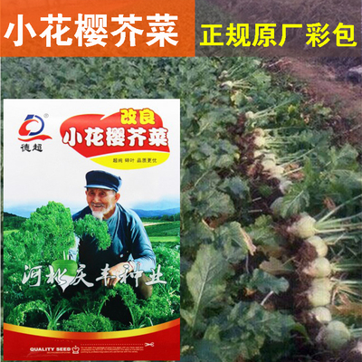 秋季播种小花包邮寿光蔬菜