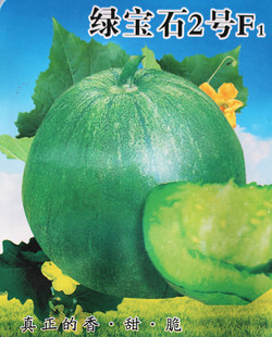 绿皮绿壤甜瓜种子 【绿宝石2号F1】含糖量超18% 甜度高 全国适宜
