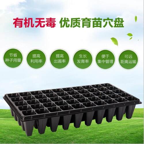 加厚穴盘多肉种植营养钵育苗盒