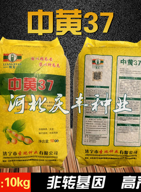 国审大豆种子黄豆种子中黄37高产大豆种子中黄13大豆不炸角春夏播