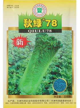 高产高桩直筒青麻叶大白菜种子秋绿78抗病高产秋种大白菜蔬菜种子