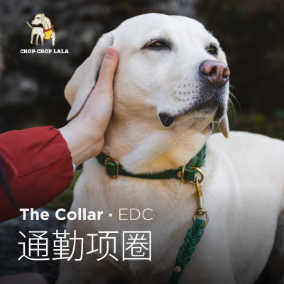 皮革牵引绳/Chop Chop LALA狗狗牵引绳遛狗绳小型犬柴犬泰迪狗绳