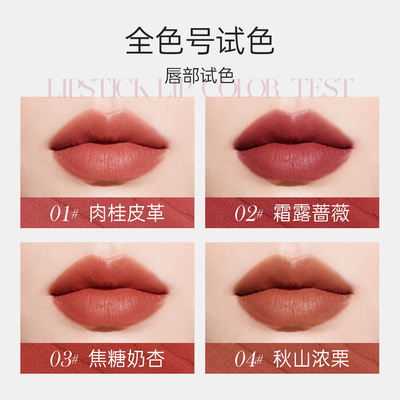 fey beauty 哑雾口红持妆lipstick润泽易上色跨境厂家