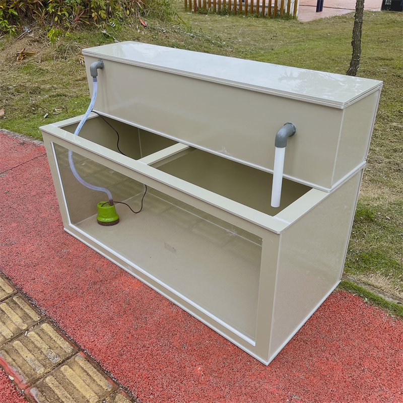 锦鲤鱼池海鲜鱼箱支持定制造景