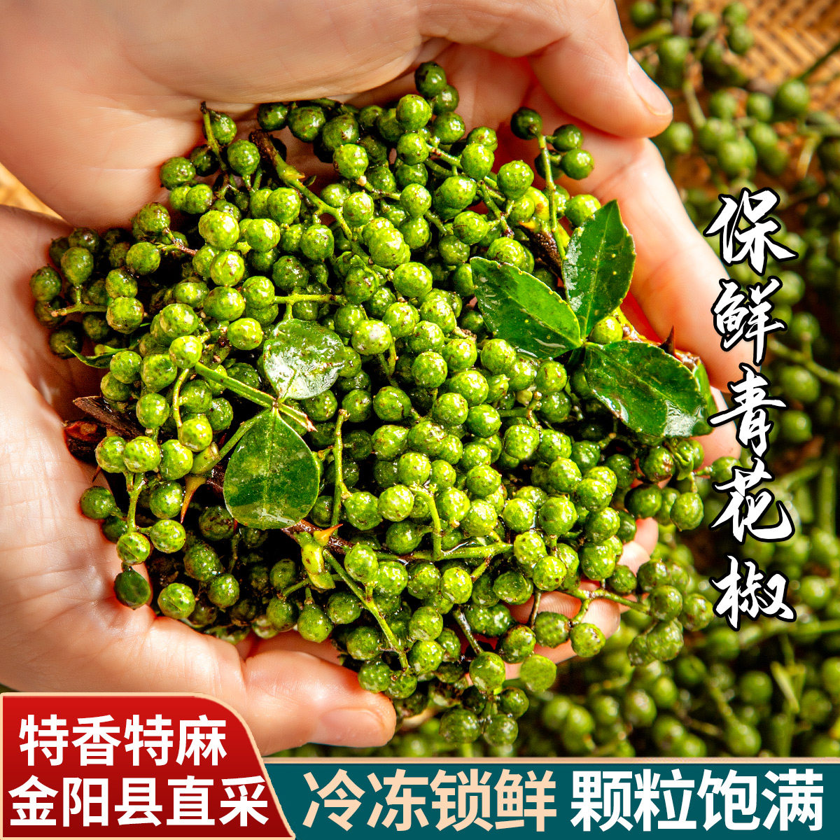 四川金阳特产350g 新鲜花椒 保鲜特麻藤椒 生青花椒麻椒