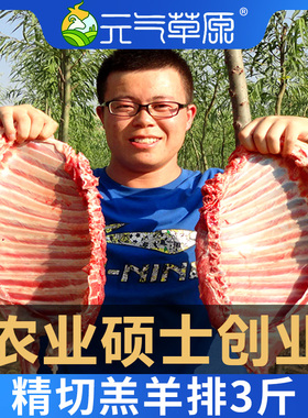 3斤羊排新鲜羊排肉生羊肉手把肉烧烤非宁夏滩羊羊肉羊排骨包邮