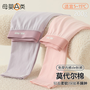 女孩棉莫打底裤 女童秋裤 25年秋冬季 内穿衬裤 子 A类棉莫儿童保暖裤