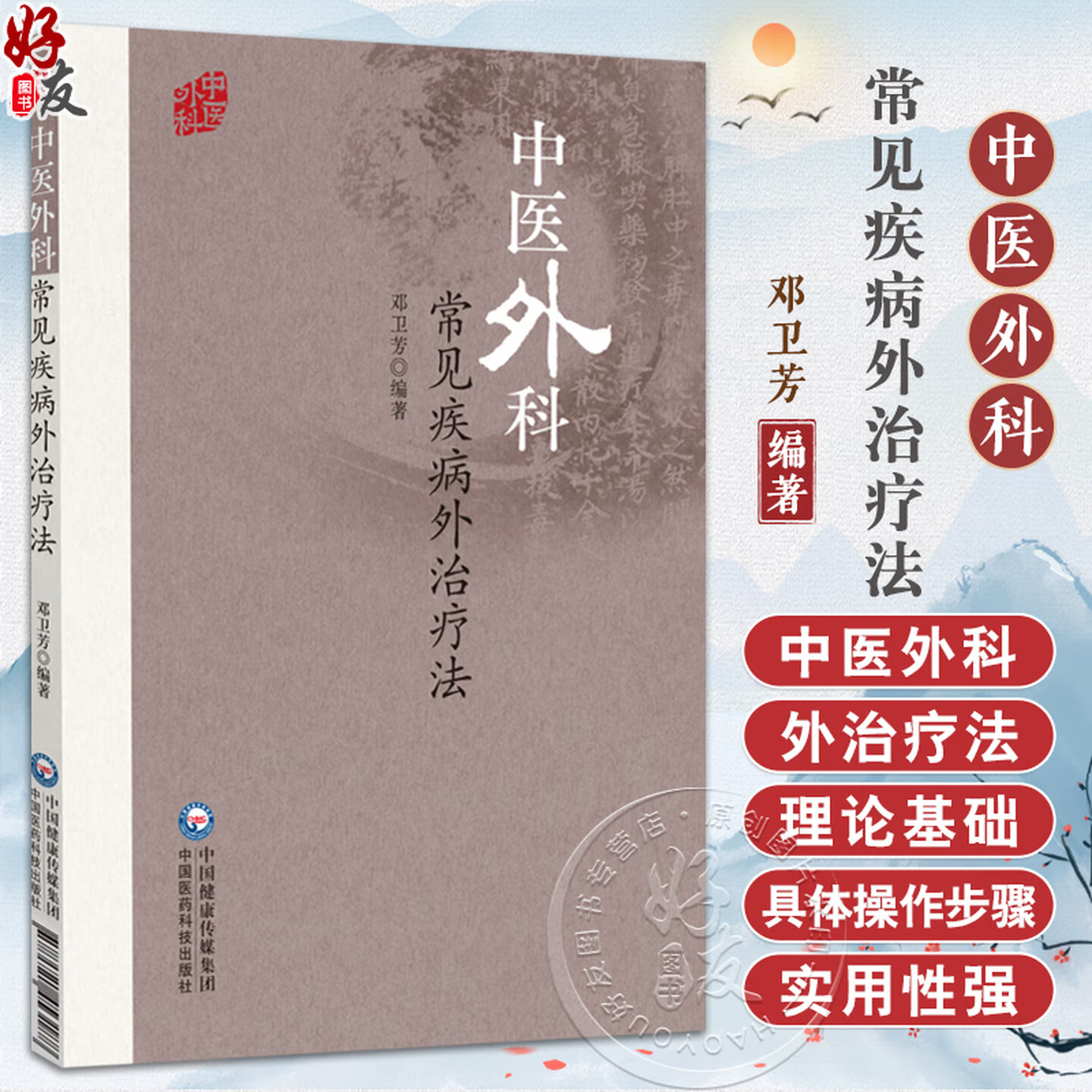 中医外科常见疾病外治疗法 邓卫芳 中医外科常见病疮疡乳腺肛肠围血管疾病男科疾病冻疮烧伤常用按摩外治疗 中国医药科技出版社