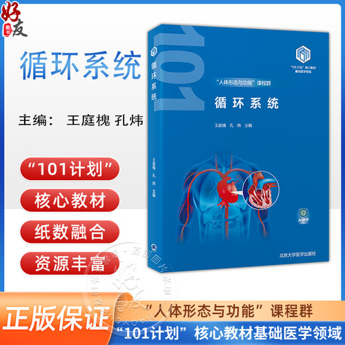 循环系统教育部基础医学