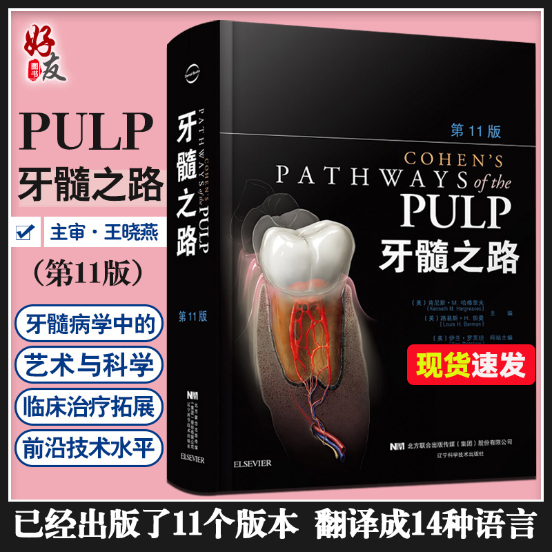 正版牙髓之路第11版