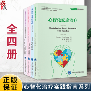 单本套装任选 心智化治疗实践指南系列4册 适应性心智化整合治疗 针对多需求人群 青少年家庭团队治疗实践应用 心智化家庭治疗